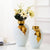 Présentation de deux vases luxueux blanc et doré avec bouquet de fleurs blanches