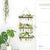 Soliflore vertical mural multitubes en verre et bois, présentation sur un mur avec des plantes vertes.