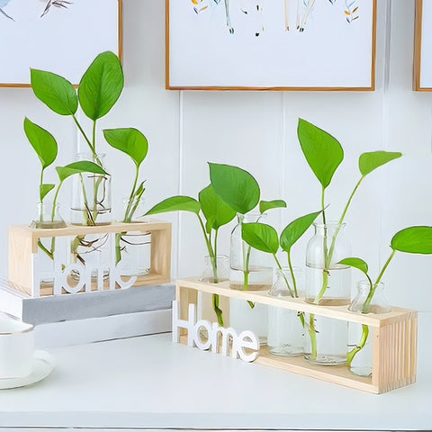 Cadre avec soliflores home modèle bois avec plantes hydroponiques mise en scène.