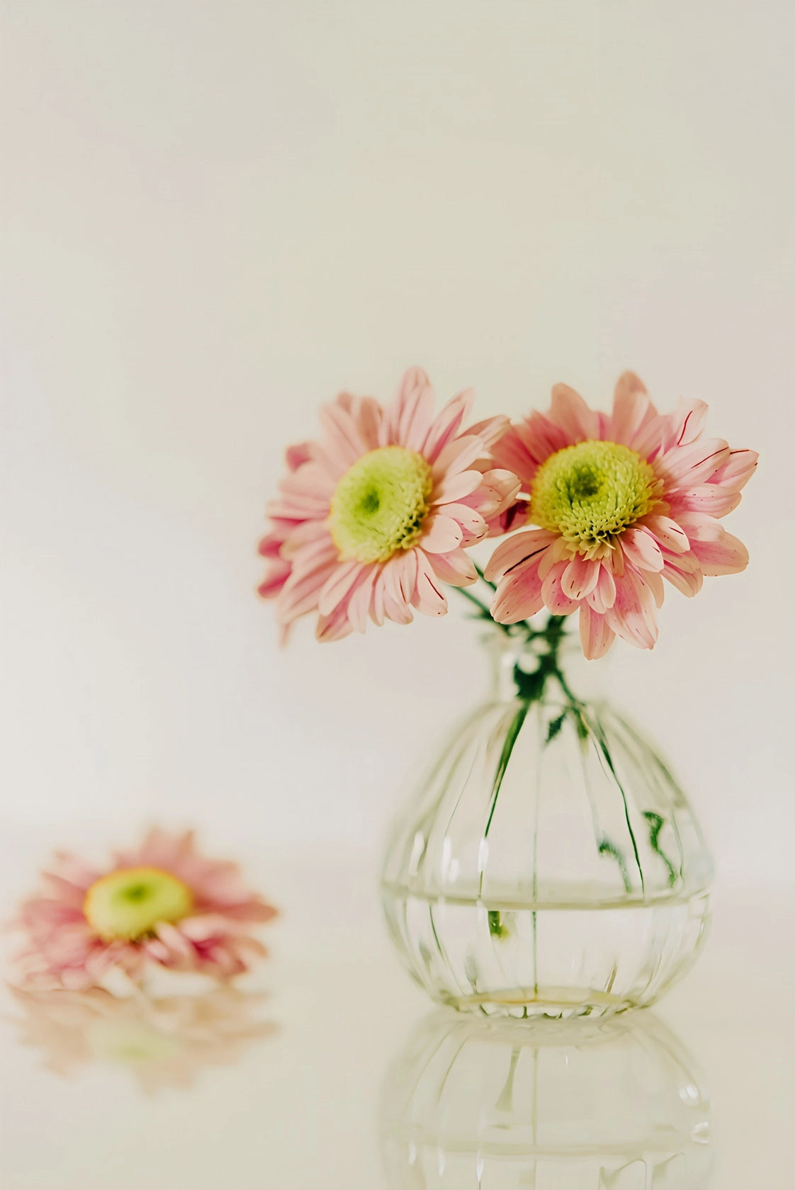 Présentation d'un vase soliflore transparent en verre avec fleurs