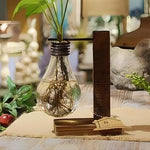 Soliflore Ampoule avec Support Socle - Vignette | Vase Cute