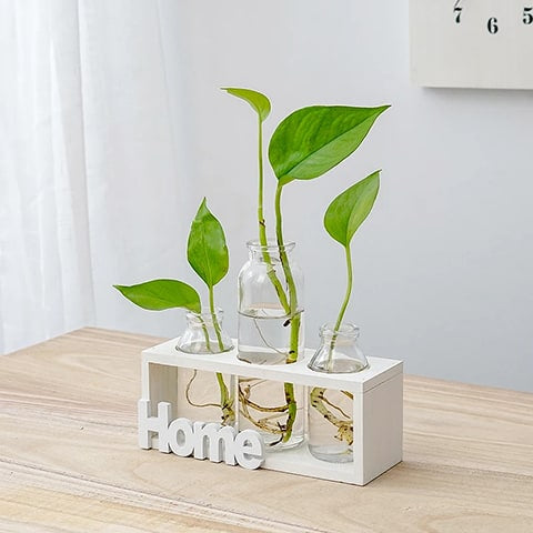 Cadre avec Soliflores Home en bois modèle blanc avec plantes vertes, posé sur une table, près d'une fenêtre.
