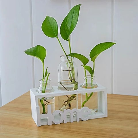 Cadre avec Soliflores Home en bois modèle blanc avec plantes vertes, posé sur une table en bois.