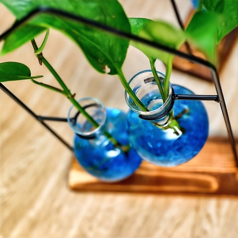 Soliflore boule suspendue encadrement maison en Verre, Fer et Bois détails du cadre et des boules ornées de plantes.