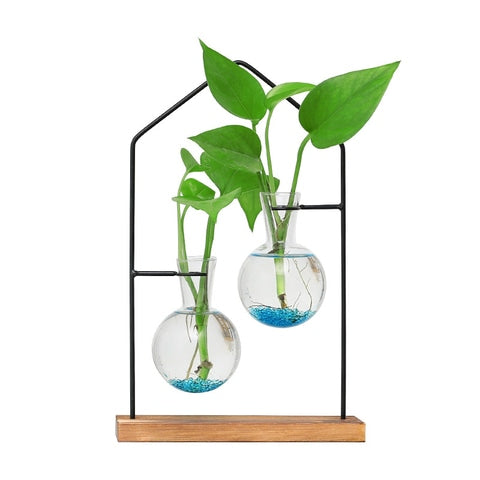 Soliflore boule suspendue encadrement maison en Verre, Fer et Bois, présentation du modèle duo avec plantes vertes sur fond blanc.