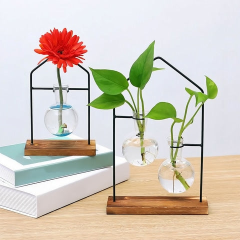 Soliflore boule suspendue encadrement maison en Verre, Fer et Bois, présentation des modèles Solo et Duo avec fleur gerbera rouge et plantes vertes.