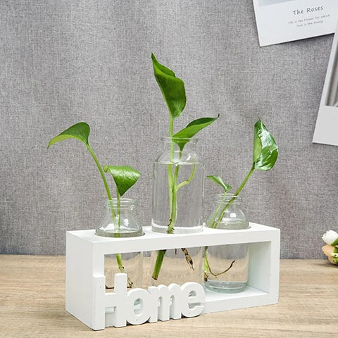 Soliflore cadre home modèle bois blanc présentation avec plantes hydroponiques.
