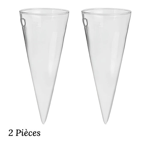 Soliflore Cornet Mural Hydroponique en Verre 2 pièces