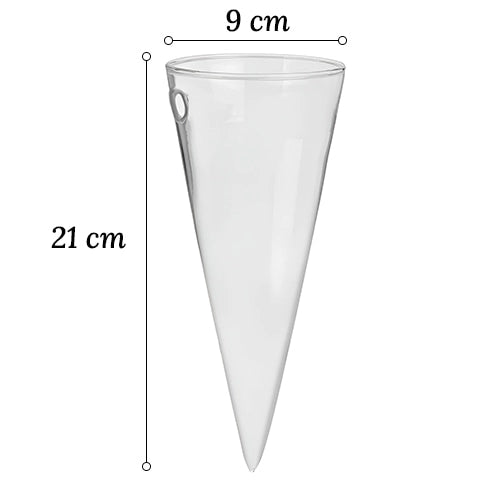 Soliflore Cornet Mural Hydroponique en Verre dimensions sur fond blanc