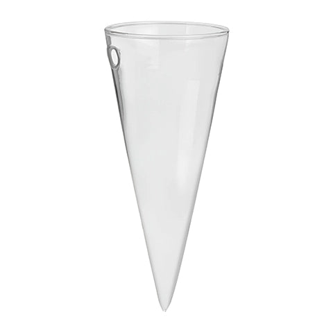 Soliflore Cornet Mural Hydroponique en Verre 1 pièces