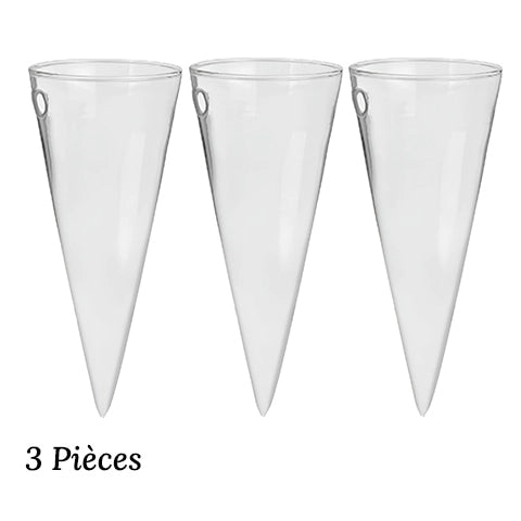 Soliflore Cornet Mural Hydroponique en Verre 3 pièces