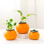 Soliflore en Forme d'Orange - Vignette | Vase Cute
