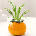 Soliflore en Forme d'Orange - Vignette | Vase Cute