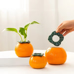 Soliflore en Forme d'Orange - Vignette | Vase Cute