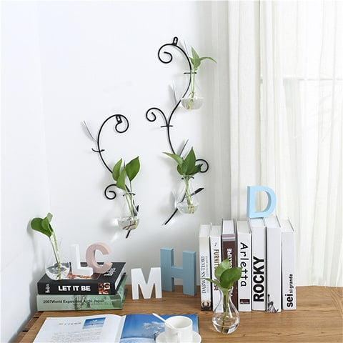 Soliflore Mural Forme Arabesque transparent en verre et fer forgé, présentation des modèles S et M avec plantes vertes accrochés au mur.