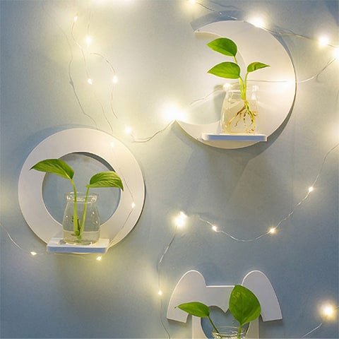 Soliflore en plastique encadrement géométrique mural blanc, présentation des modèles Rond et Lune avec plantes vertes et guirlande lumineuse.