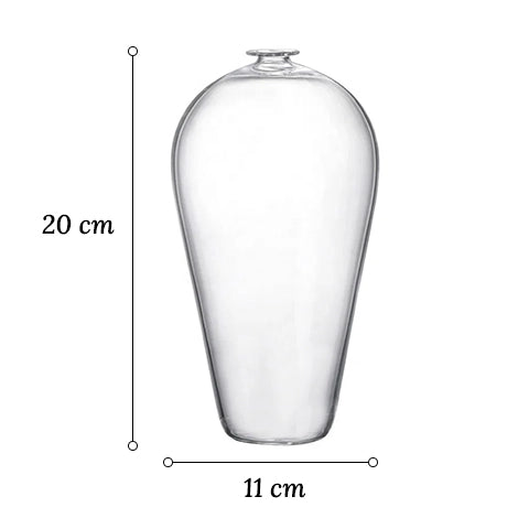Soliflore style givré ikebana en verre dimensions sur fond blanc