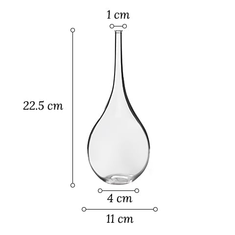 Soliflore style japonais transparent ou nuage dimensions sur fond blanc.
