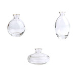 Soliflore Transparent Liseré Gold - Vignette | Vase Cute