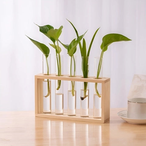 Soliflore Tubes Cadre Bois mural en Verre et Bois, présentation modèle M bois clair avec plantes vertes en hydroponie.