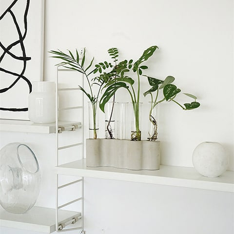 Soliflore Tubes Ikebana présentation avec plantes vertes sur une étagère blanche.