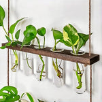 Soliflore Vertical Mural Multi Tubes - Vignette | Vase Cute