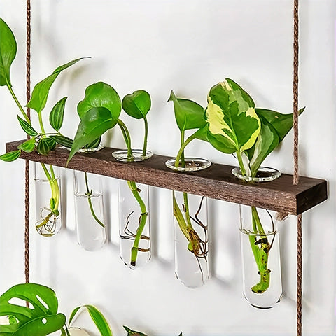 Soliflore vertical mural multi tubes en verre et bois, détails zoomés.
