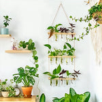 Soliflore Vertical Mural Multi Tubes - Vignette | Vase Cute