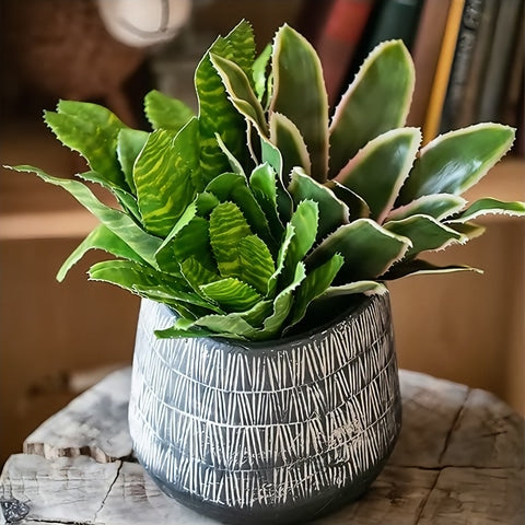 Vase d'antan gris foncé strié blanc en céramique, présentation du modèle B avec plante.