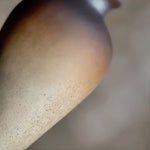 Vase Bouteille en Grès Émaillé Bicolore - Vignette | Vase Cute