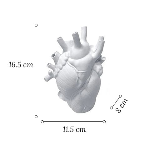 Vase cœur humain blanc en céramique dimensions du modèle Petit sur fond blanc.