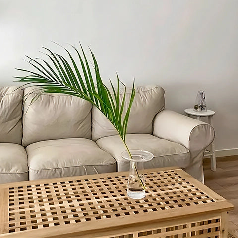 Vase Collerette Simple Décoratif en verre, présentation du modèle transparent 20cm avec plante verte sur une table basse en bois.