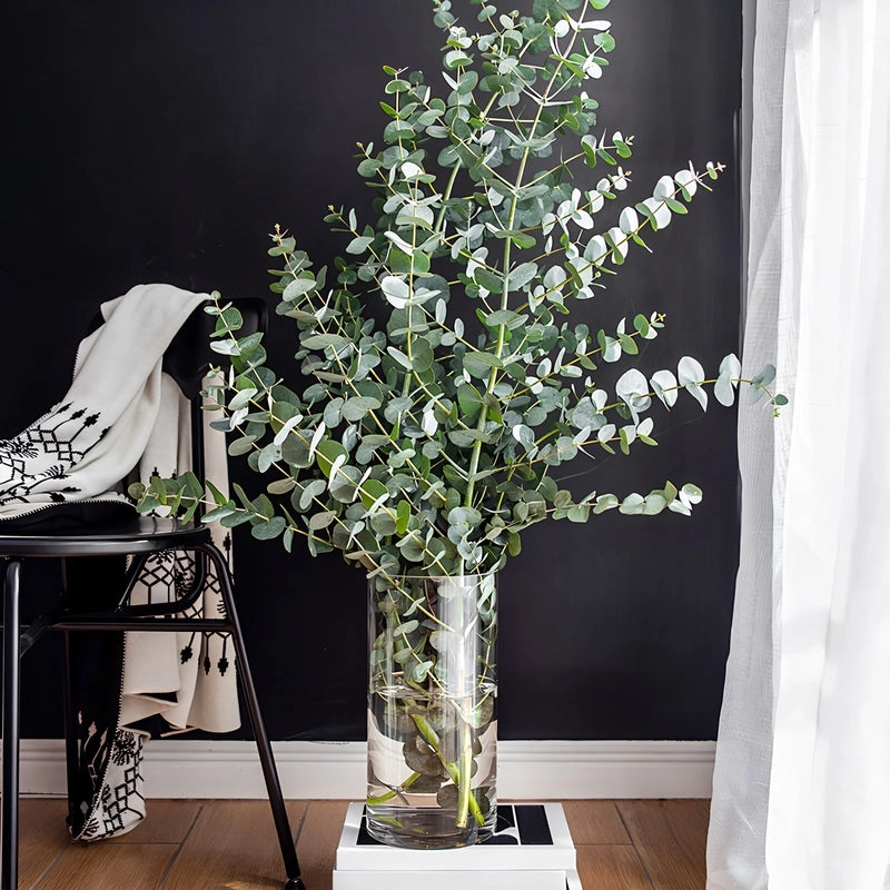 Vase Cylindrique Décoratif en verre présentation du modèle B avec plantes posé sur une pile de livres au sol.