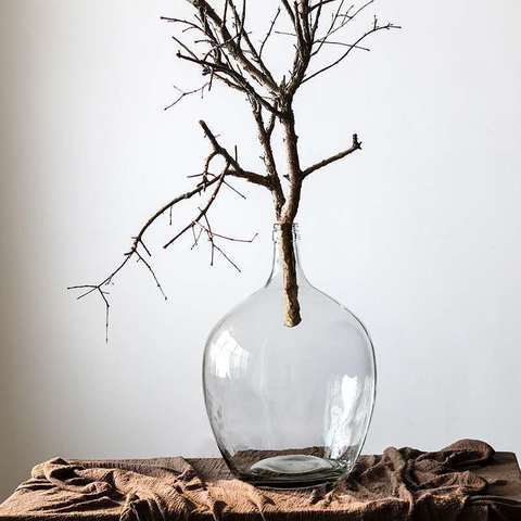 Vase Dame Jeanne Moderne Transparent en verre présentation avec branche séchée sur une table en bois.