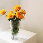 Vase Forme Torche Transparent Rayé - Vignette | Vase Cute