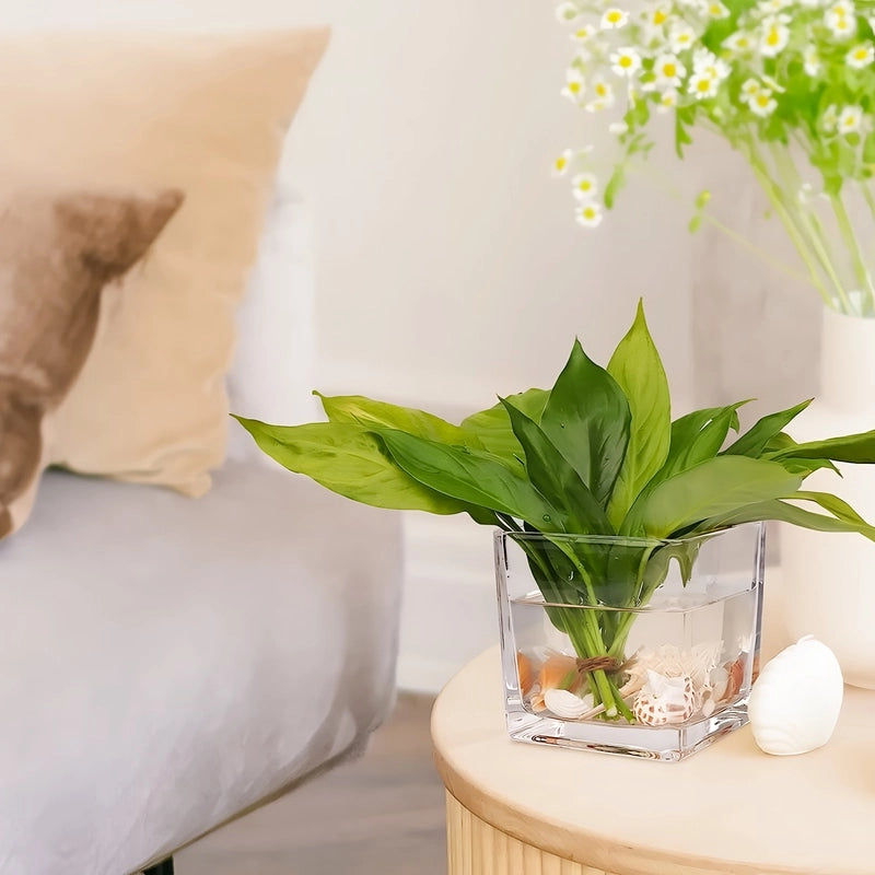 Vase Petit Cube Décoratif Transparent avec plantes vertes sur une table de nuit.