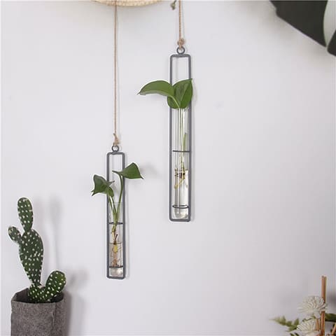 Vase soliflore à suspendre ou à fixer en Fer forgé et verre, présentation des modèles S et L avec plantes vertes, suspendus à un mur.