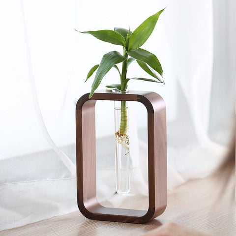 Vase soliflore cadre rectangulaire en noyer, présentation avec plante verte sur une table en bois, près d'une fenêtre.