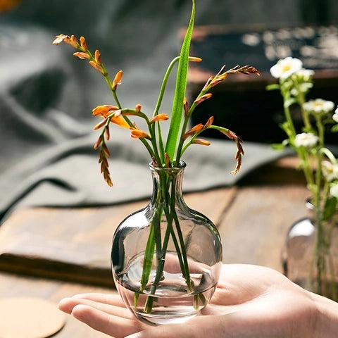 Vase Soliflore Mini Dame Jeanne en Verre présentation du modèle Gris tenu en main avec fleurs