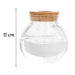 Vase Soliflore Transparent Bouchon Liège - Vignette | Vase Cute