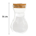 Vase Soliflore Transparent Bouchon Liège - Vignette | Vase Cute