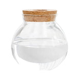 Vase Soliflore Transparent Bouchon Liège - Vignette | Vase Cute