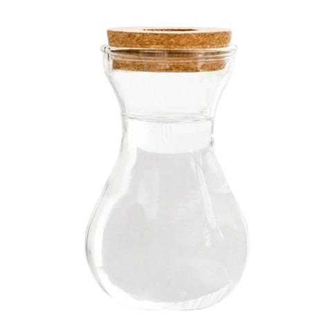 Vase Soliflore Transparent Bouchon Liège en Verre et Liège modèle gourde.