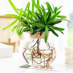 Vase Soliflore Transparent Bouchon Liège - Vignette | Vase Cute