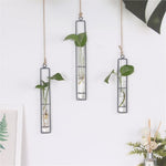Soliflore Design Tube Suspendu - Vignette | Vase Cute