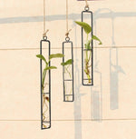 Soliflore Design Tube Suspendu - Vignette | Vase Cute