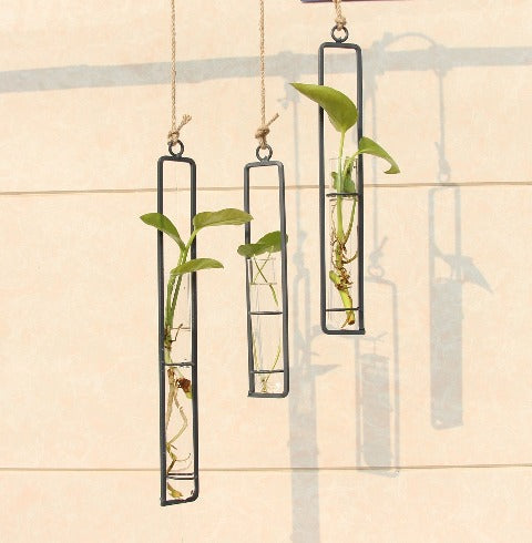 Soliflore Design tube suspendu en Fer Forgé et Verre Présentation avec plantes, Tailles L, S et M.