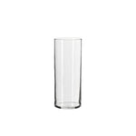 Vase Longiligne Transparent Décoratif - Vignette | Vase Cute