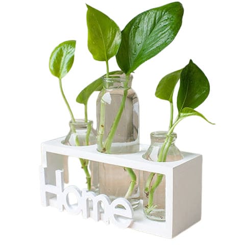 Petit vase soliflore cadre Home en Verre & bois, détail Home, présentation modèle Blanc.