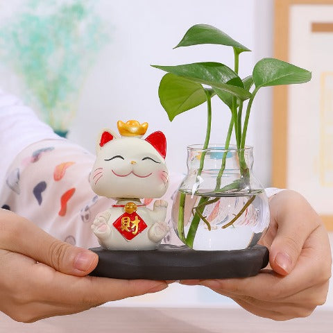 Vase soliflore chat présentation tenue en main avec plantes